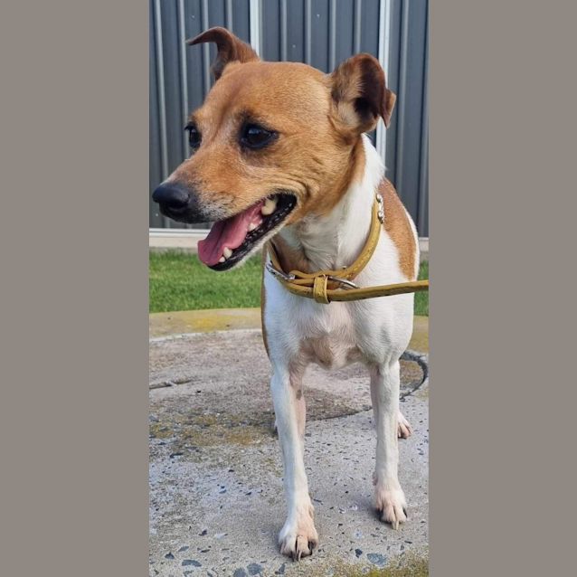 Photo of Tilly