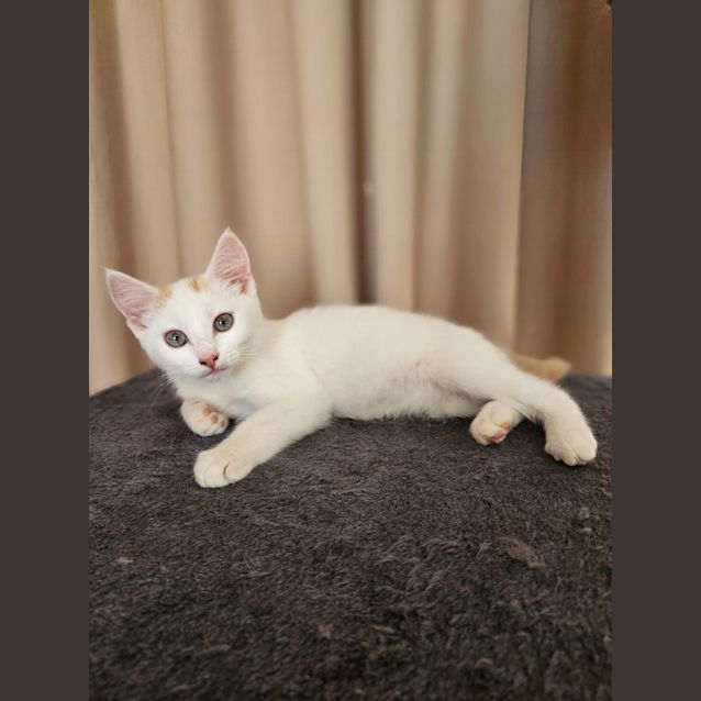 Photo of Jasper