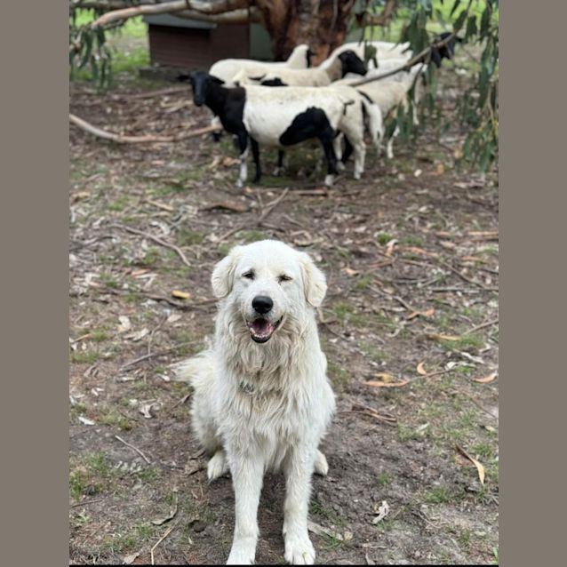 Photo of Apollo 