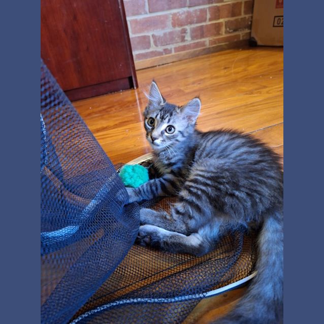 Photo of Mogwai