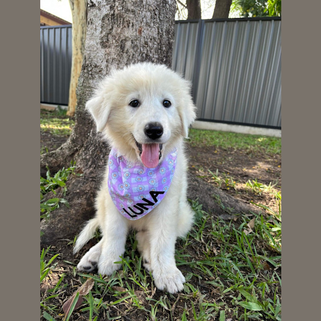 Photo of Lunar