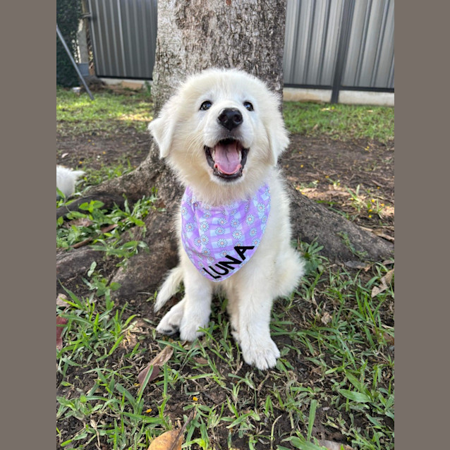 Photo of Lunar