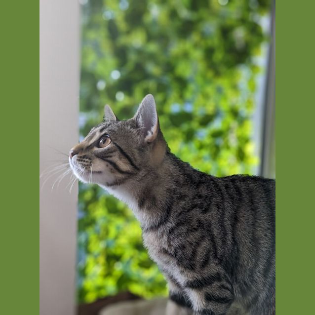 Photo of 🎊 Scout F02765 🎊