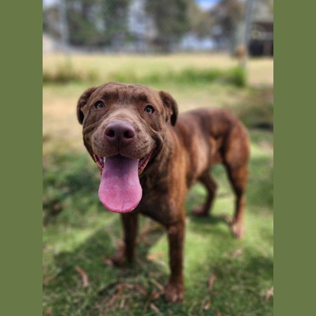 Photo of 💣 Opie C04794 💣