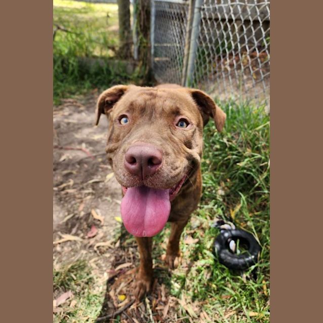 Photo of 💣 Opie C04794 💣