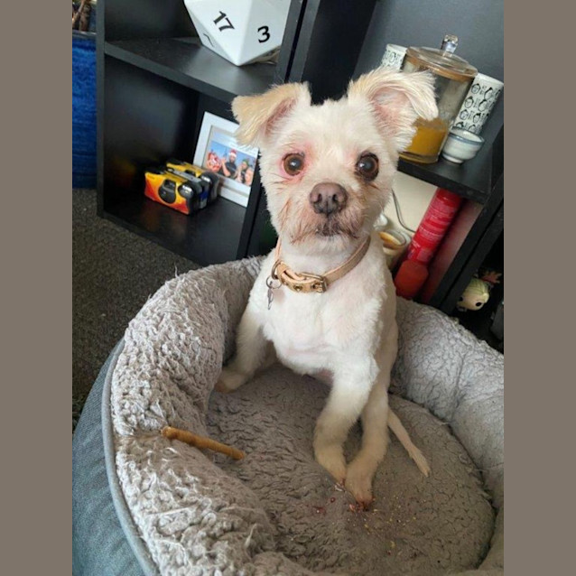 Photo of Brian Dubois