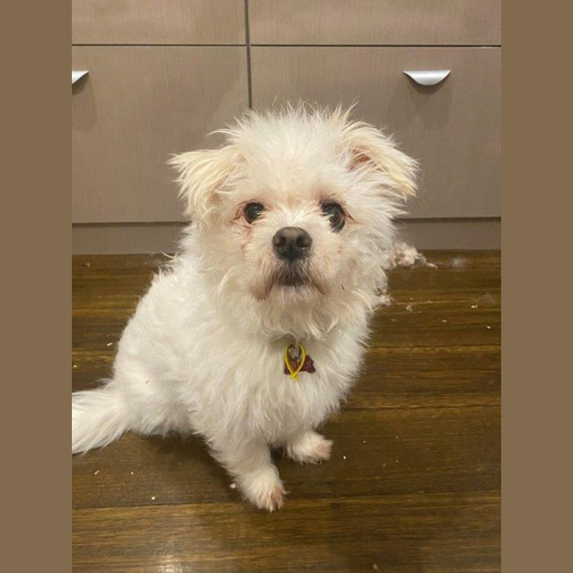 Photo of Brian Dubois