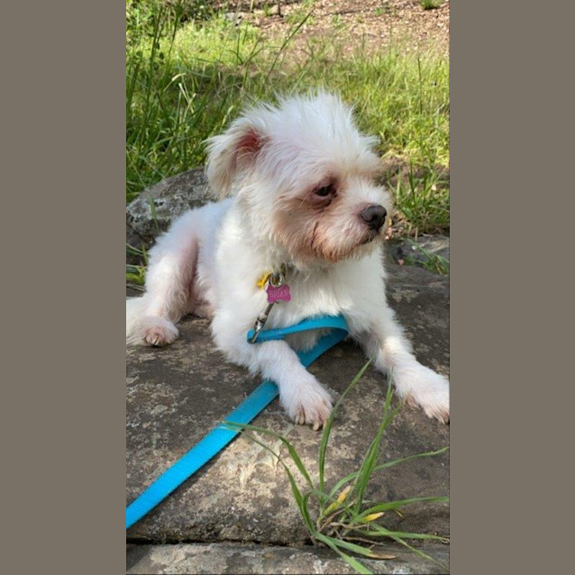 Photo of Brian Dubois