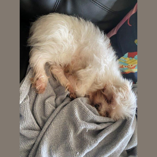 Photo of Brian Dubois