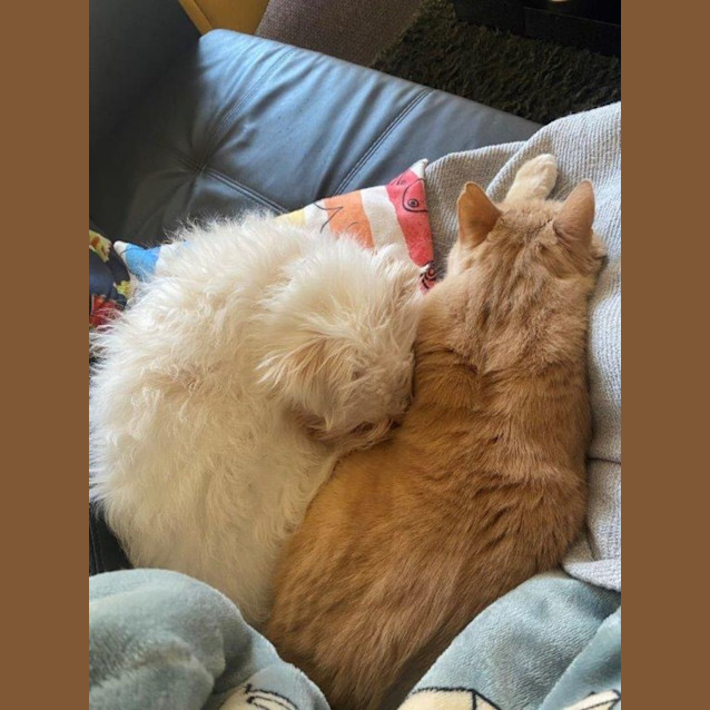 Photo of Brian Dubois