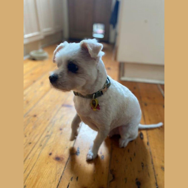 Photo of Brian Dubois