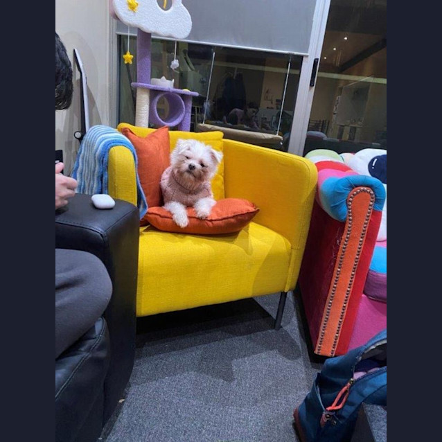 Photo of Brian Dubois