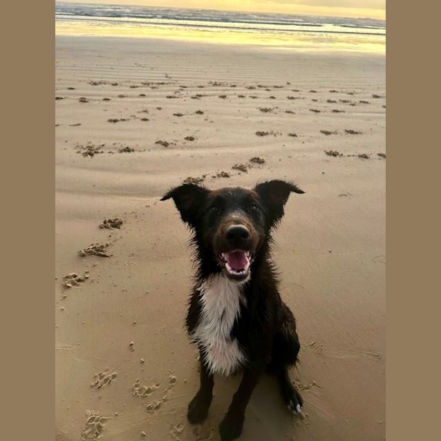 Photo of Turbo