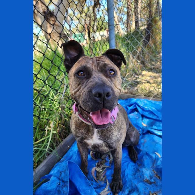 Photo of 🌩Storm C04766 🌩