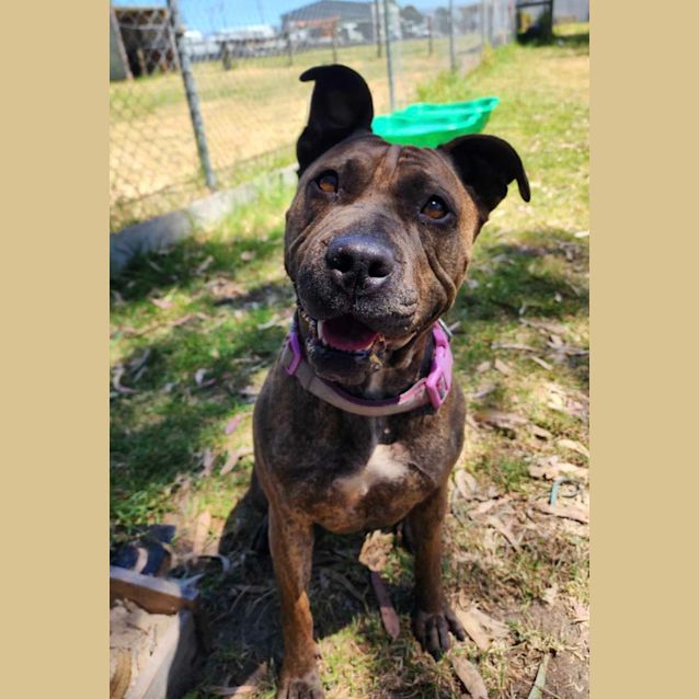 Photo of 🌩Storm C04766 🌩