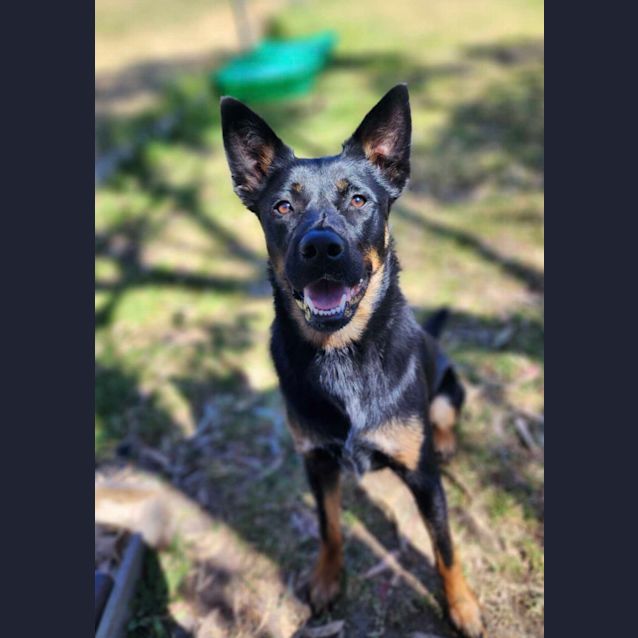 Photo of 🍄 Maggie C04805 🍄