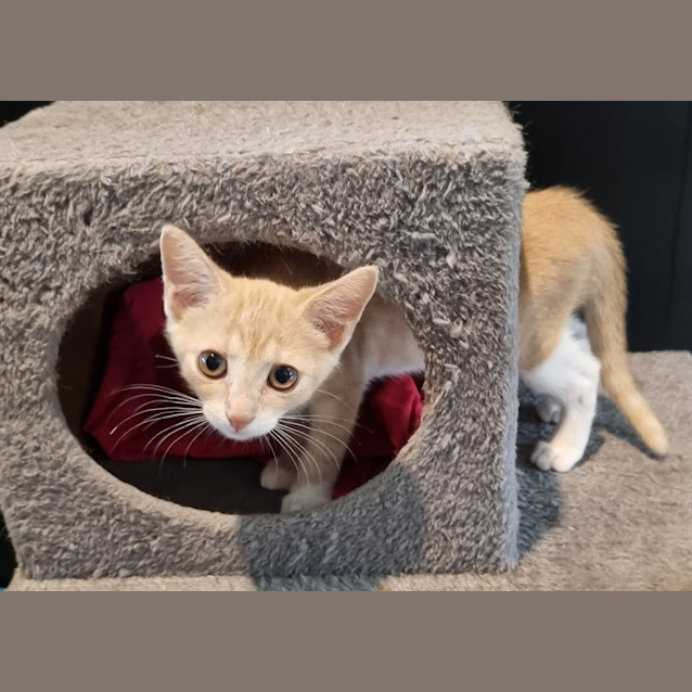 Photo of John Vincent