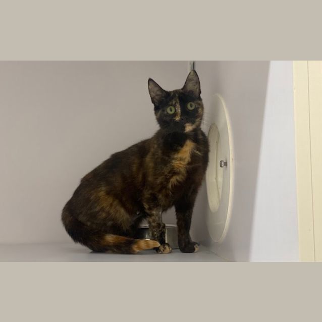 Photo of Betty