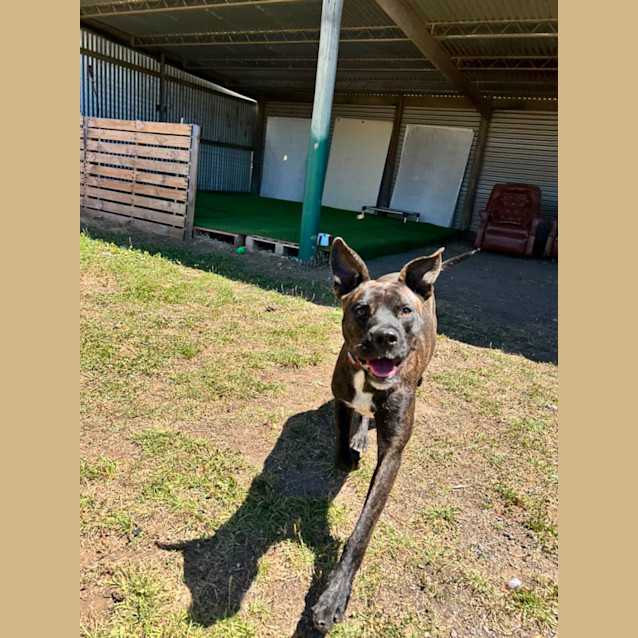 Photo of Sally