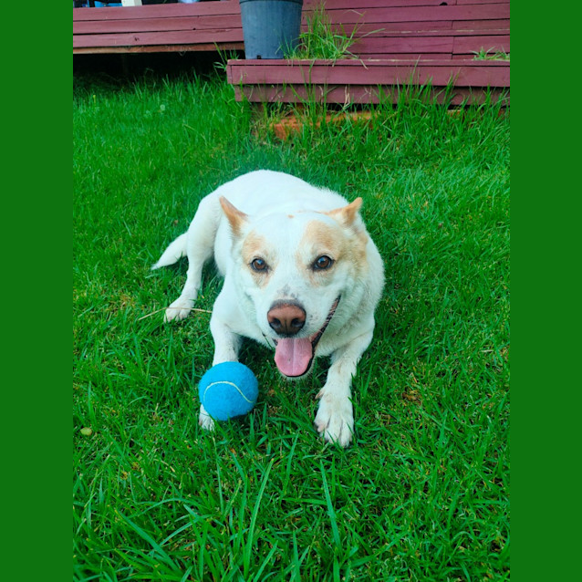 Photo of Walter