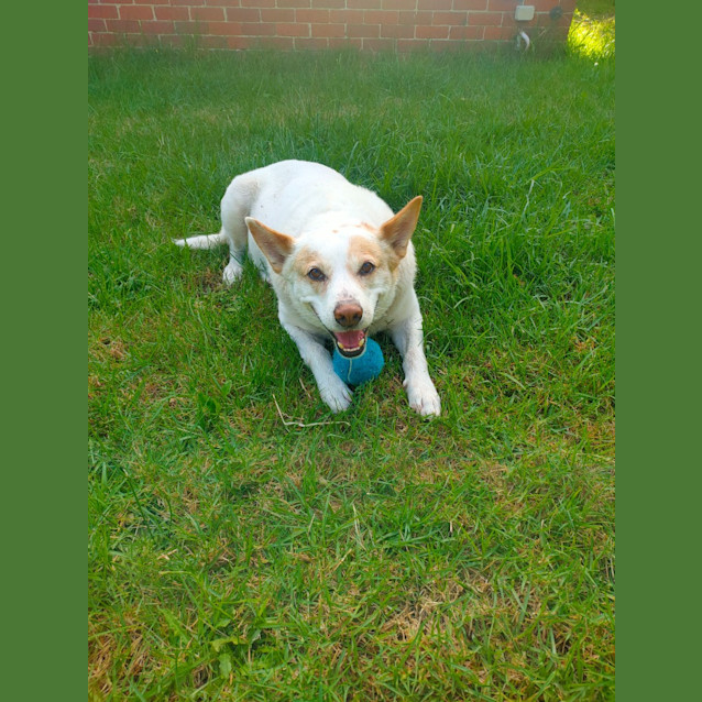 Photo of Walter