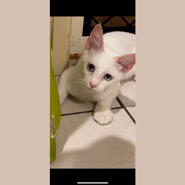 Photo of Flynn