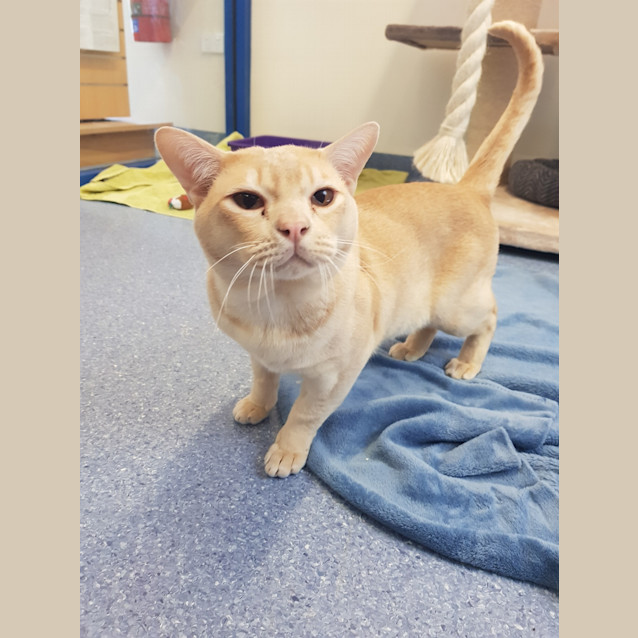 Photo of Mr Deja Skye