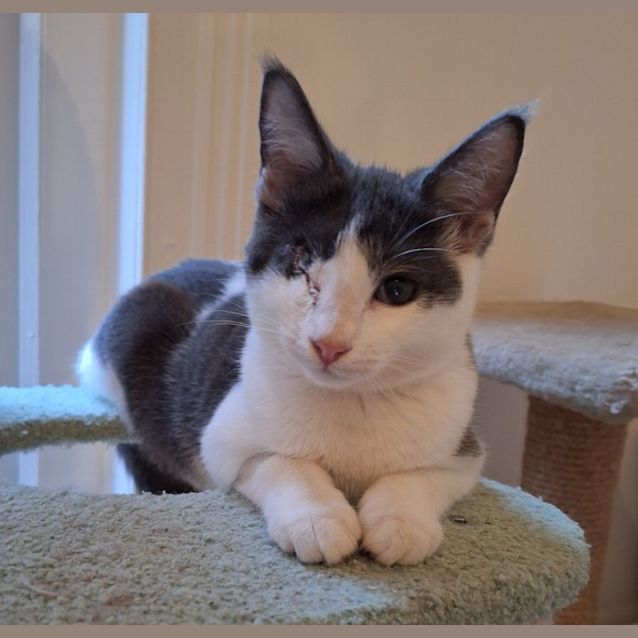Photo of Tempest
