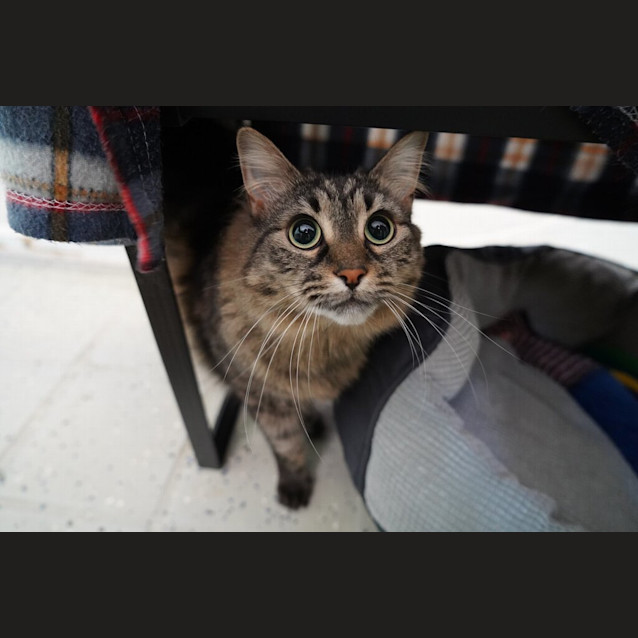 Photo of Neo