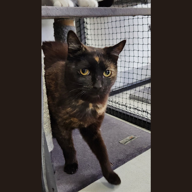 Photo of ❄ Nancy F02767 ❄