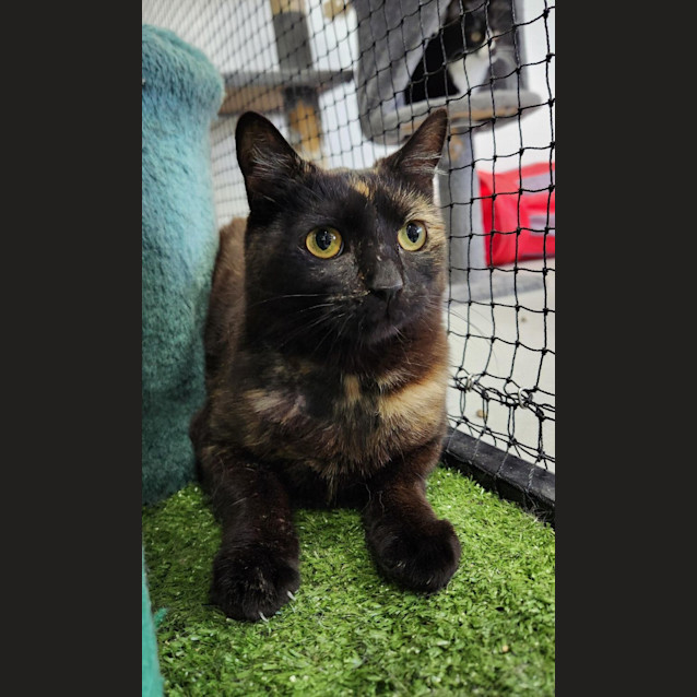 Photo of ❄ Nancy F02767 ❄