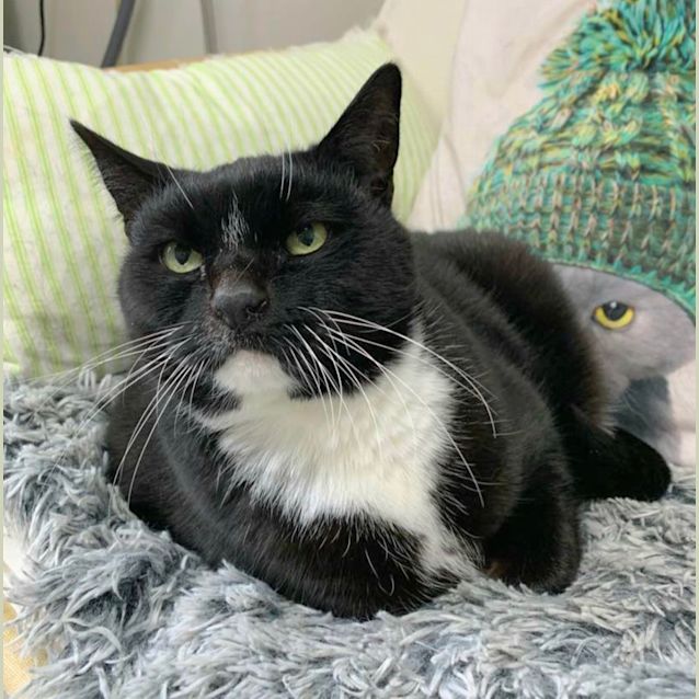 Photo of 🌺 Valerie F02670 🌺