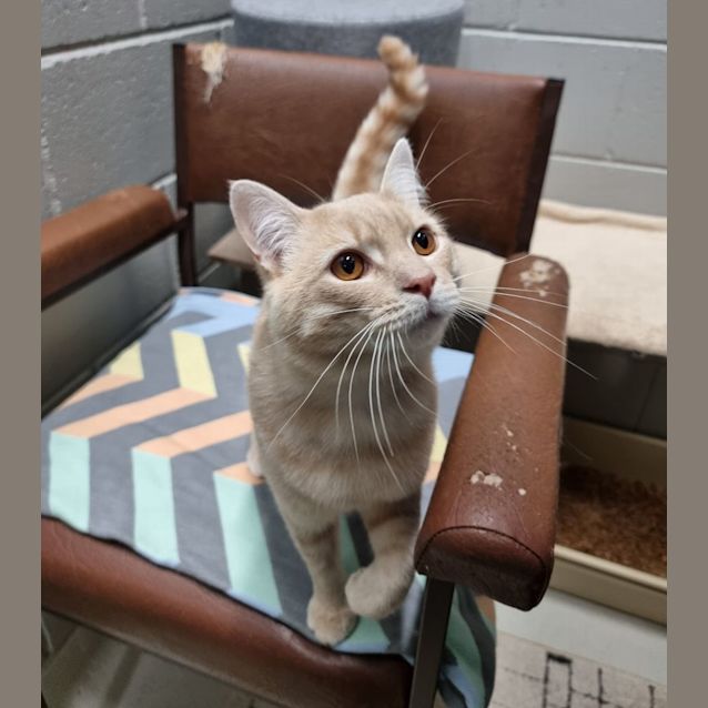 Photo of Mr Montreal