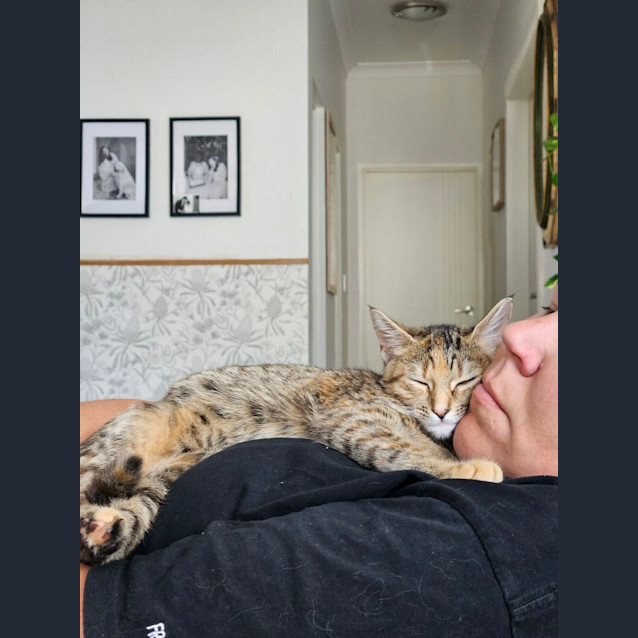 Photo of Oreo Aka Ginny