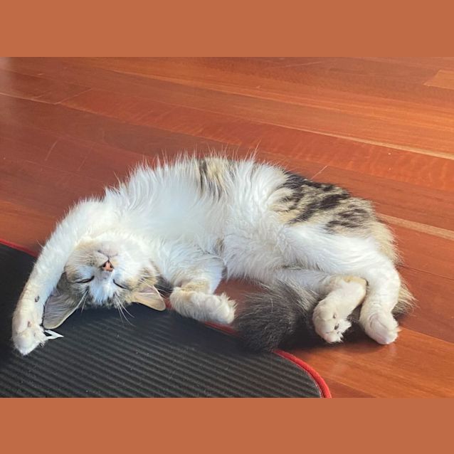 Photo of Cueball