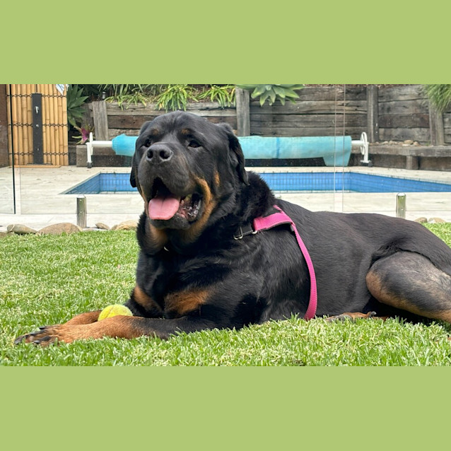 Photo of John Goodboy