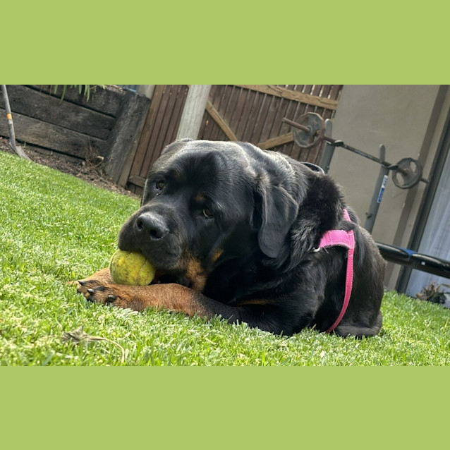 Photo of John Goodboy