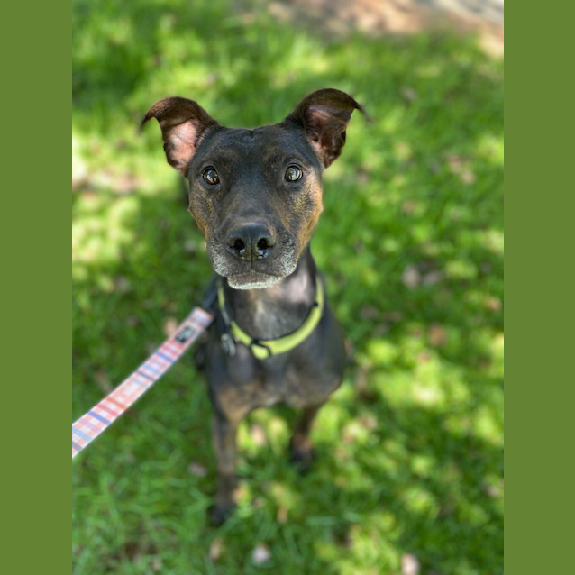 Photo of Merry