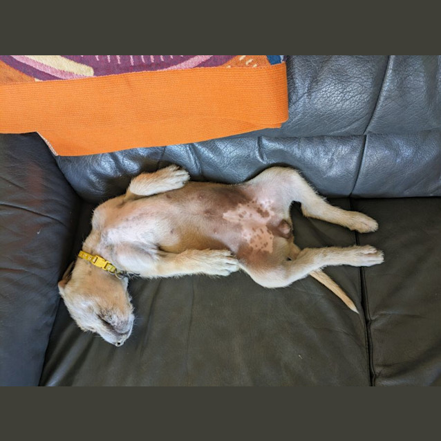 Photo of Janet