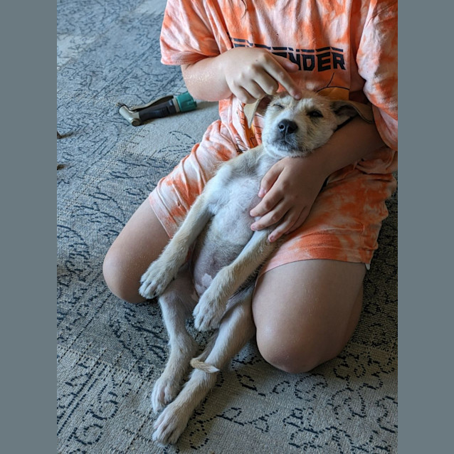Photo of Janet