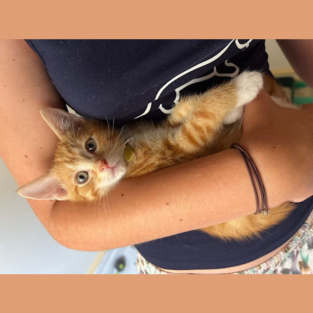 Photo of Happy