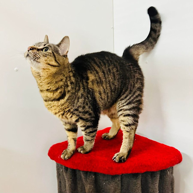 Photo of Bubbles   Meet Me At Nelly's Ark In Fairfield