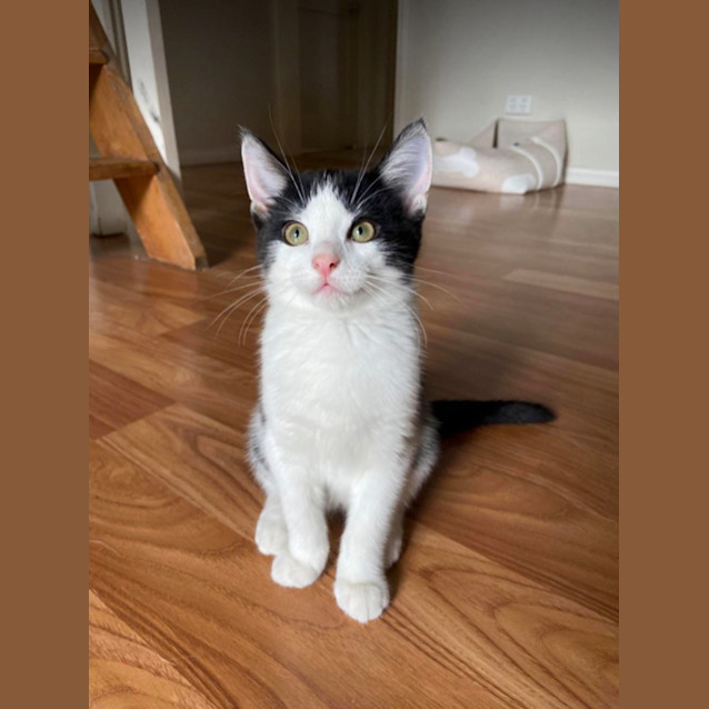 Photo of Sammy