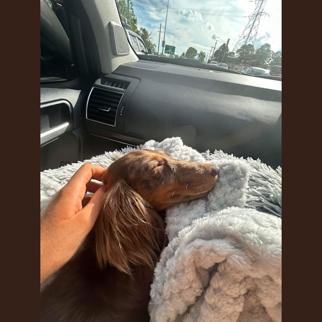 Photo of Miss Frankie