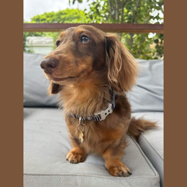 Photo of Miss Frankie