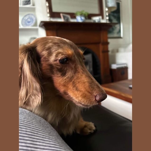 Photo of Miss Frankie