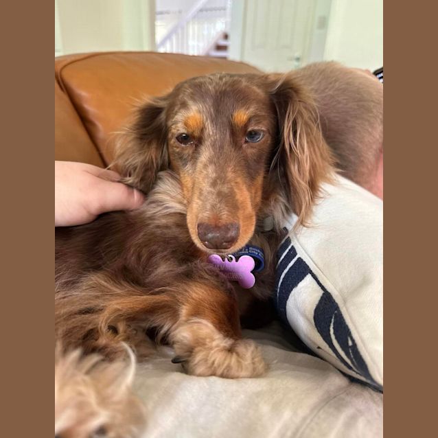 Photo of Miss Frankie