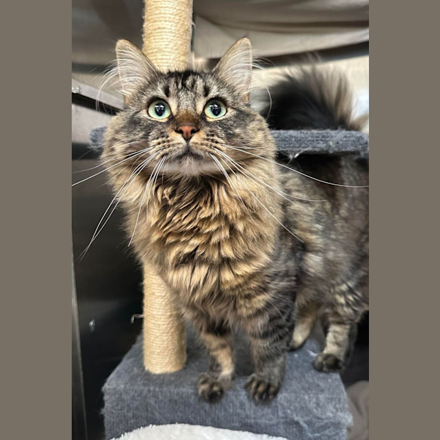 Photo of Zoe