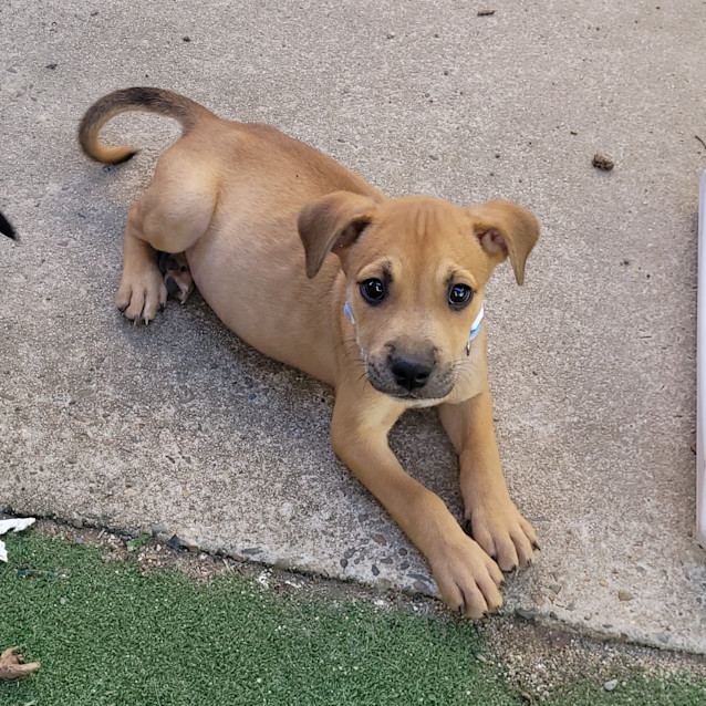 Photo of Bastian (Tk3)