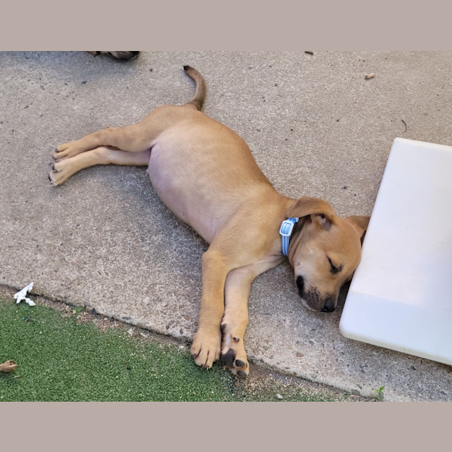 Photo of Bastian (Tk3)